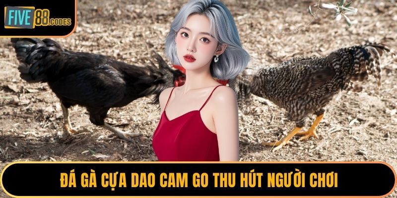 Đá gà cựa dao cam go thu hút người chơi