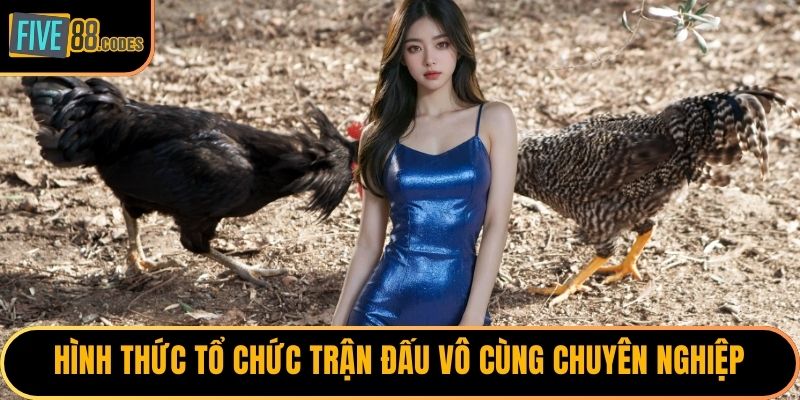 Hình thức tổ chức trận đấu vô cùng chuyên nghiệp
