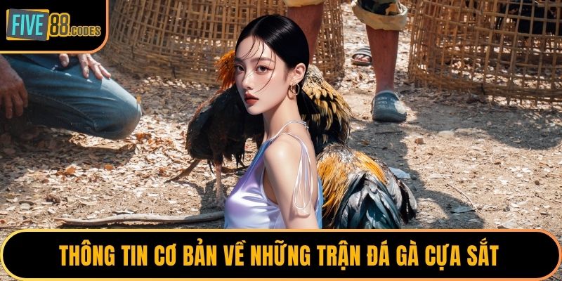 Thông tin cơ bản về những trận đá gà cựa sắt